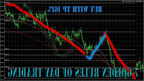 Review How to trade forex how many forex traders fail