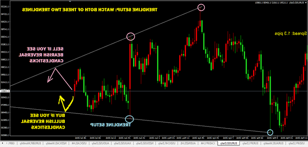 forex tester