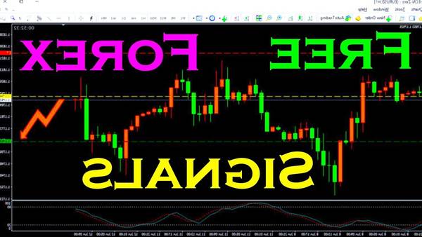 Success Forex contest forex who makes money