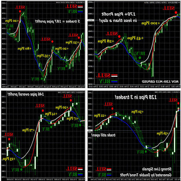 forex software