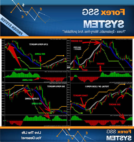 Success Easy forex how much forex can i carry to india