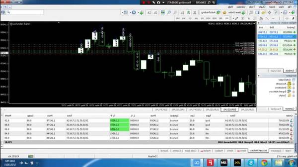 forex trading for dummies